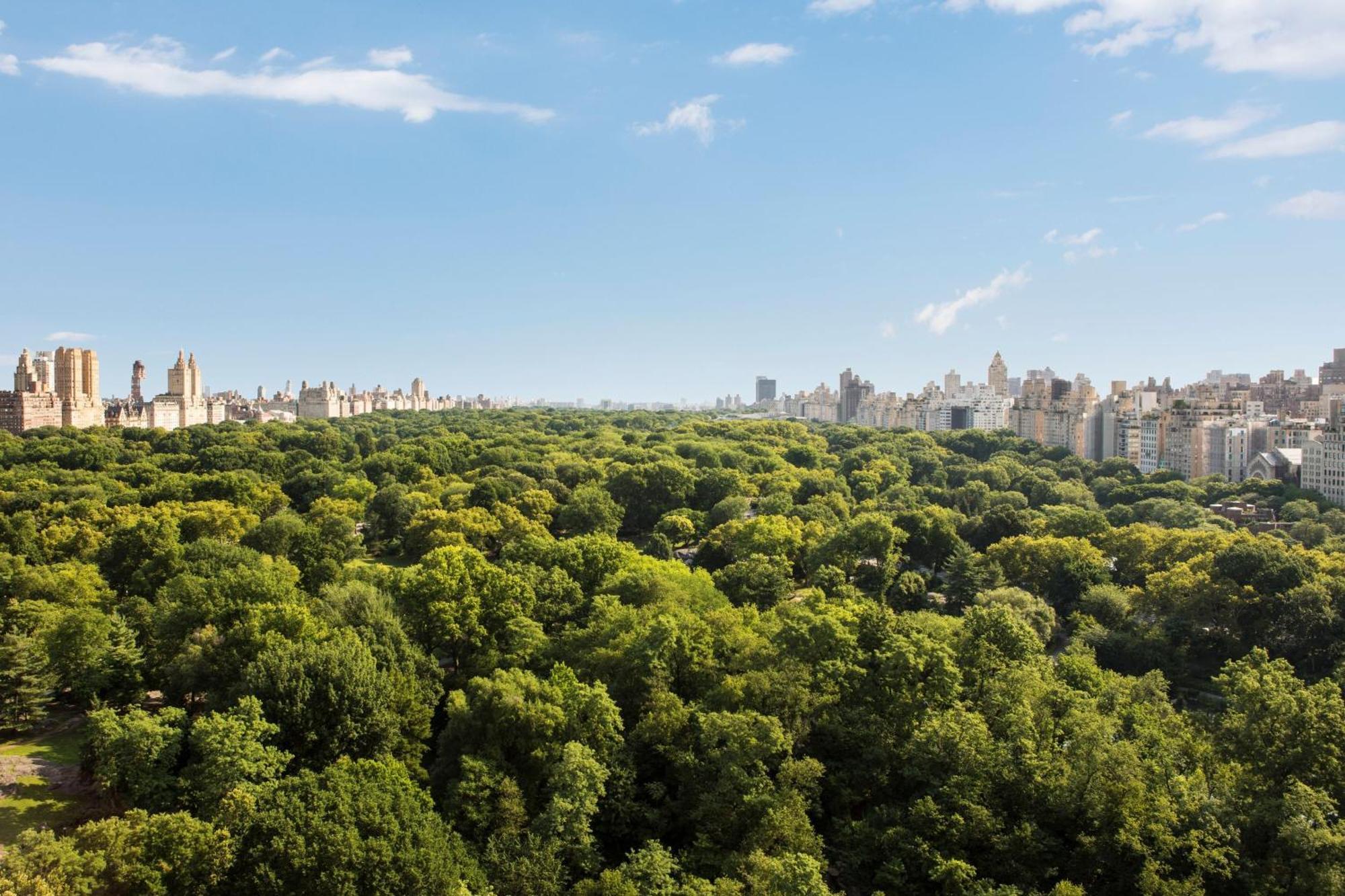 The Ritz-Carlton New York, Central Park Esterno foto
